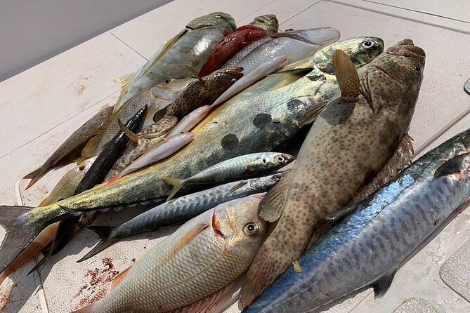 Private Game Fishing Trip with Sightseeing in Muscat - What Your Captain Actually Does (And Why That’s a Big Deal)