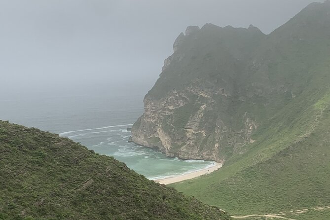 Private Guided Tour to West Beaches of Salalah - Meet your guide and what a private format changes