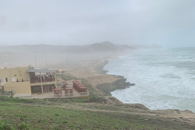 Private Guided Tour to West Beaches of Salalah - Stop 4: The Frankincense Trail, wild trees, and how harvesting works