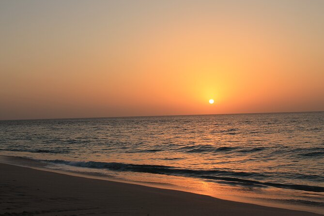 Private Half-Day Muscat City At Night Tour - Pickup, WiFi, and the Little Comforts