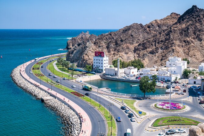 Private Half Day Muscat City Tour (Morning or Afternoon) - Old Muscat viewpoint time: gate views from above