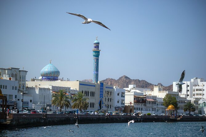 Private Half-day Tour in Muscat - Al-Alam Palace: a short stop with real sea-view payoff