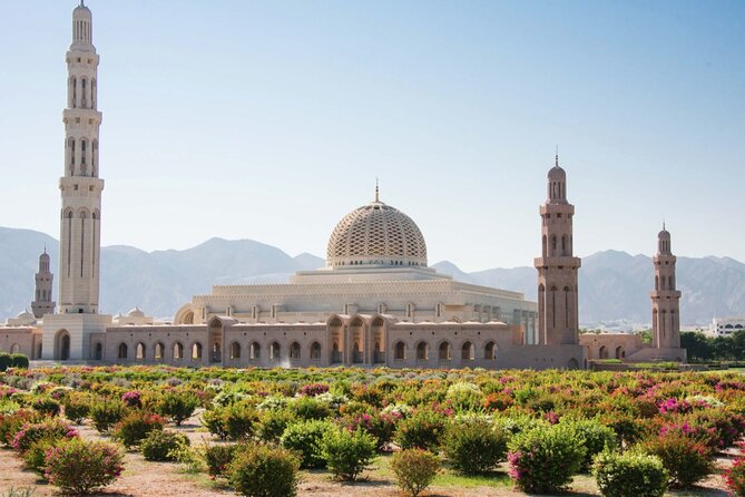 Private Half-Day Tour to Grand Mosque-Nakhal Fort and Hotspring - Why this private half-day Muscat to Nakhal route feels efficient
