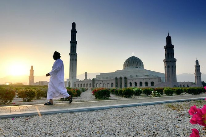Private-Muscat City tour (Half Day) - Value and price: $221 per group, and when it really pays off