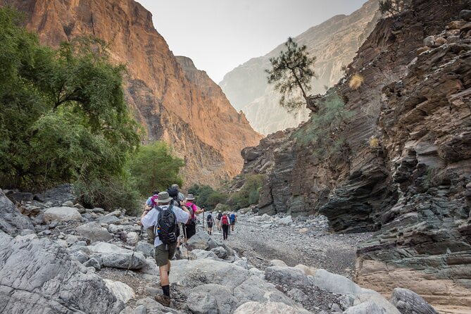 Private Muscat tour to the Grand Canyon Nizwa - A private Muscat-to-Nizwa-to-Jabal Shams day with real variety