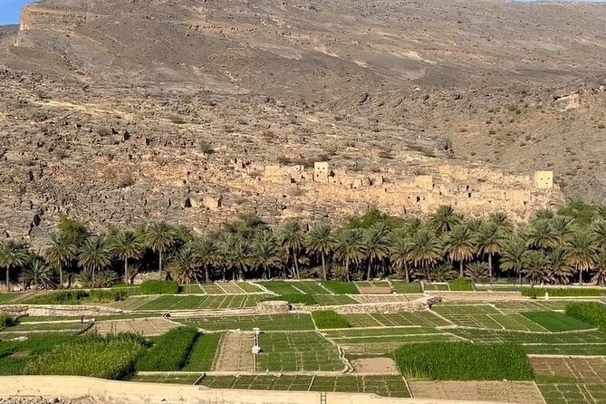 Private Nizwa - Al Hamra Old Village - Misfah Al Arbyeen - Full Day Tour - Misfah Al Arbyeen and the Falaj System at Jebel Shams’ Base