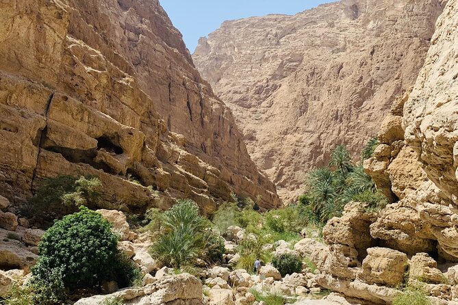 Private Oman Desert Overnight in Wahiba Sand and Wadi Exploration - Day 2: Wadi Shab keyhole walk, canyon pools, and swimming time