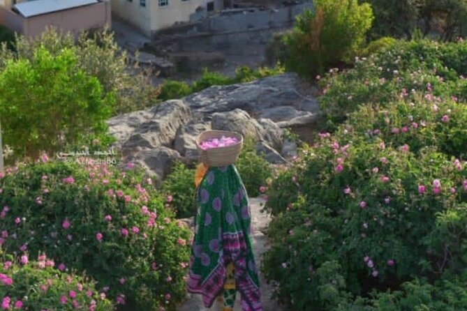 Private Oman Full Day Guided Sightseeing Tour - Price and value: what $180 gets you, and what may cost extra