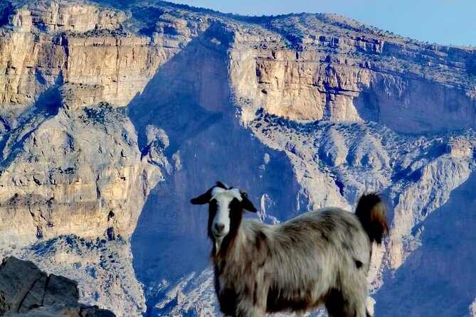 Private Overnight Nizwa & Jebel Akhdar Tour from Muscat - Overnight on the mountain: what dinner and downtime change