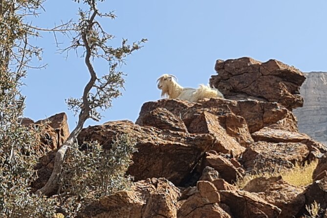 Private Overnight Nizwa & Jebel Akhdar Tour from Muscat - Day 2: Jebel Shams in the morning, then Bahla Fort and Al Hamra