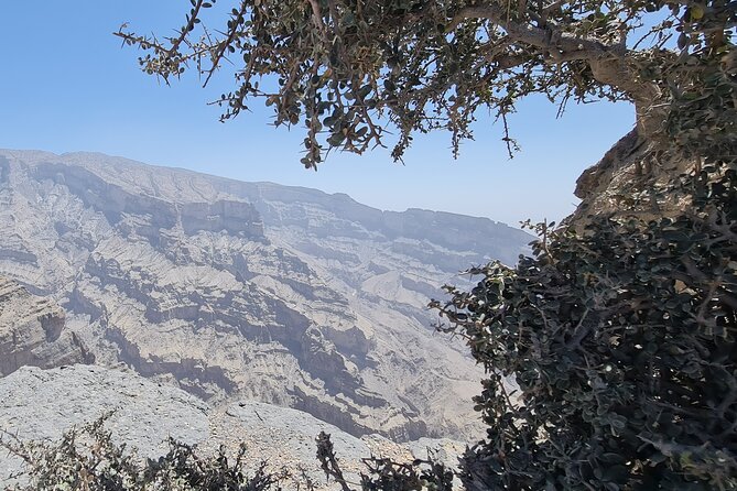 Private Overnight Nizwa & Jebel Akhdar Tour from Muscat - Transportation and guide quality, the stuff that decides whether it feels easy