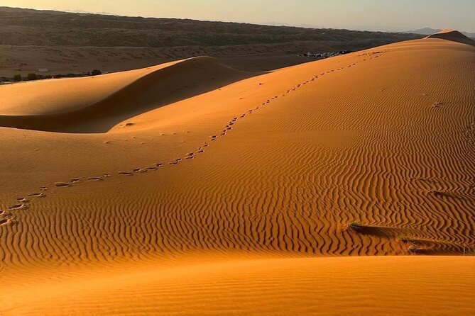 Private Safari tour and Wadi in 4x4 with a local guide - Key highlights you should know