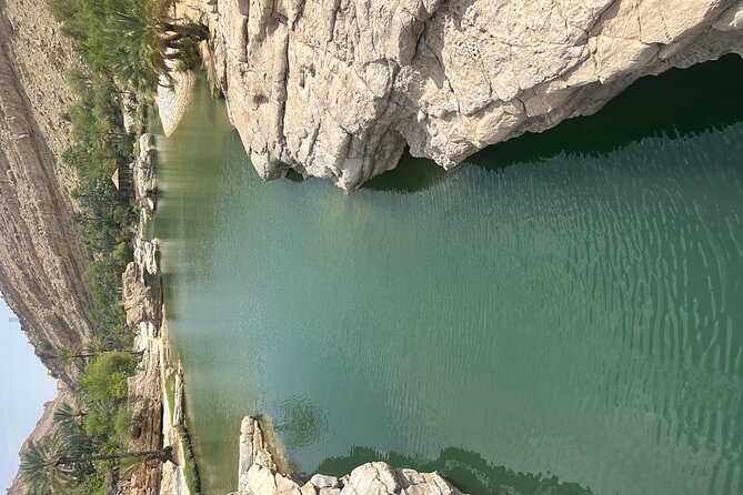 Private Safari tour and Wadi in 4x4 with a local guide - The wadi stop: turquoise pools, palm shade, and calm mountain air