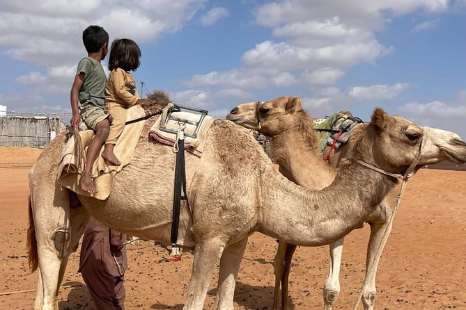 Private Sunset Watching Desert Safari with Dinner - Camel ride math: what is included, what costs extra