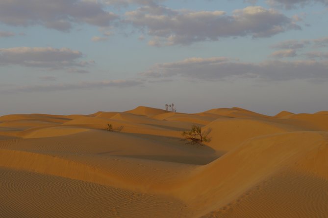 Private tour - Empty Quarter desert adventure - Wadi Dawka + Ubar - Should you book this Wadi Dawkah + Ubar + Empty Quarter tour?