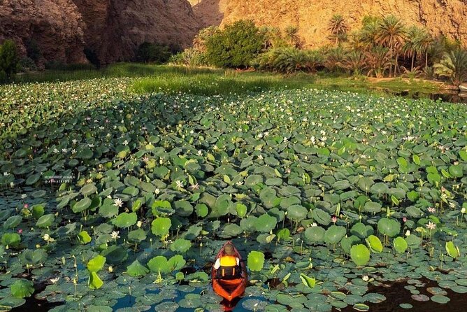 Private Trip in Wadi Shab - Key Highlights You Should Actually Care About