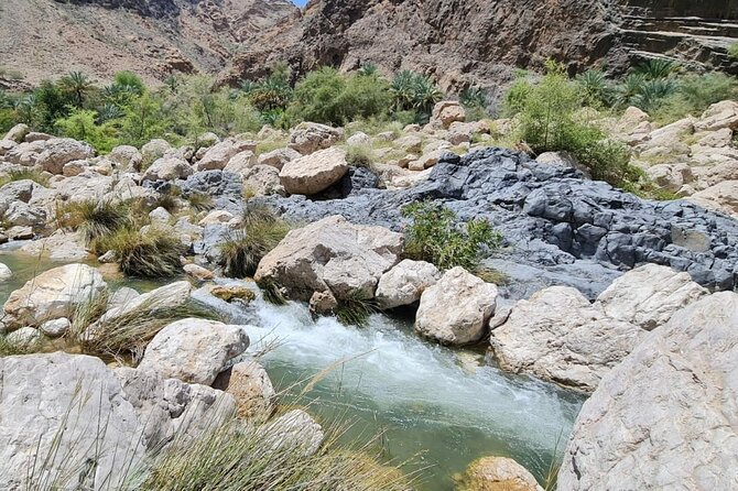 Private Wadi Arbyeen - Sinkhole - White Sand Beach- Full Day Tour - Fins Beach white sands: a long stretch for relaxed photos