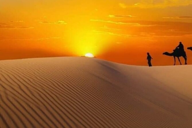 Private Watching Sunrise in the Desert - Early Morning Tour - Camel ride: decide based on your style, not pressure
