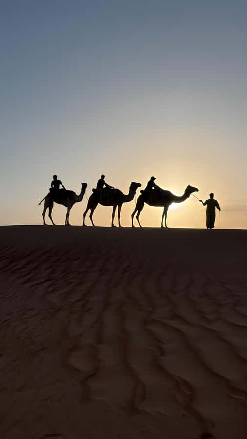 Safari World Zoo and Wahiba Sands with Sunset - Muscat to Ibra Safari World: a wildlife start before the dunes