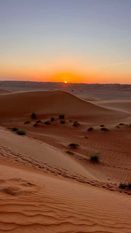 Safari World Zoo and Wahiba Sands with Sunset - Timing reality: the day can stretch when the roads or stops add up