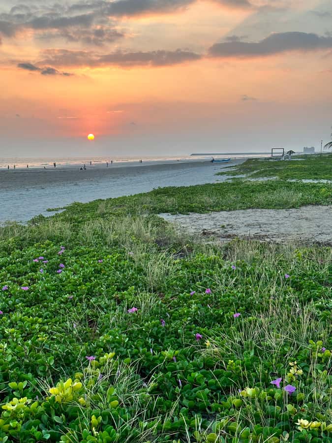 Salalah a combination of East and West tour - Key highlights before you go