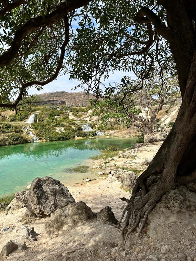 Salalah a combination of East and West tour - Taqah Old Town, Beach, Plateau, and Taqa Castle photo time