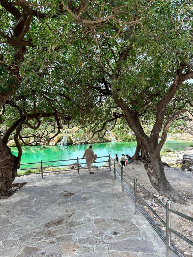 Salalah a combination of East and West tour - Your guide is the real engine of the day