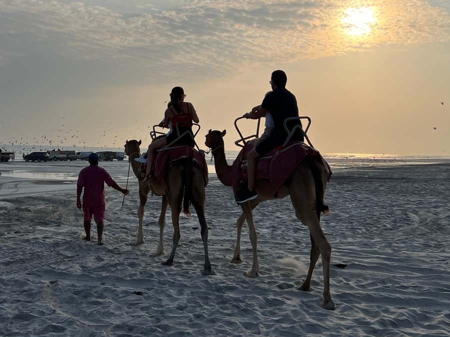 Salalah: Camel Riding on the Beach - Key Points Before You Go