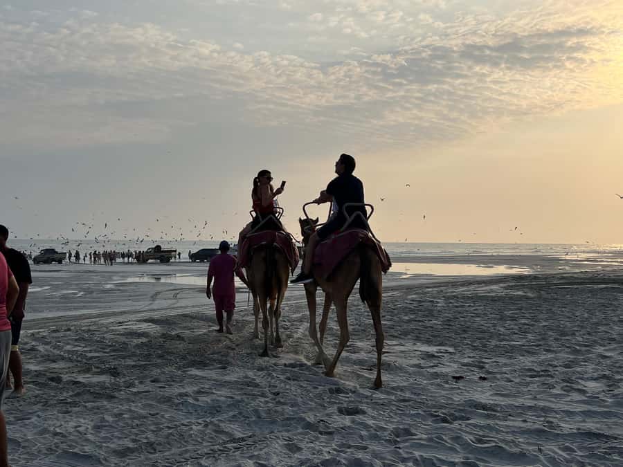 Salalah: Camel Riding on the Beach - From Hotel Door or Your Own Car: Getting There Without Stress