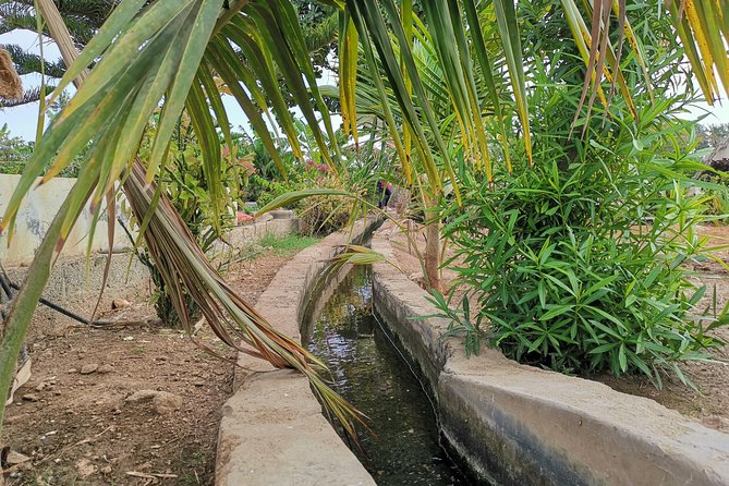 Salalah City private tour - all-inclusive sightseeing tour - Price and Logistics: Is This Private Tour Worth It?