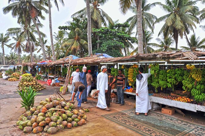 Salalah City Tour: Discover Salalahs Treasures with a Local Guide - A Private Salalah Route That Helps You Read the City