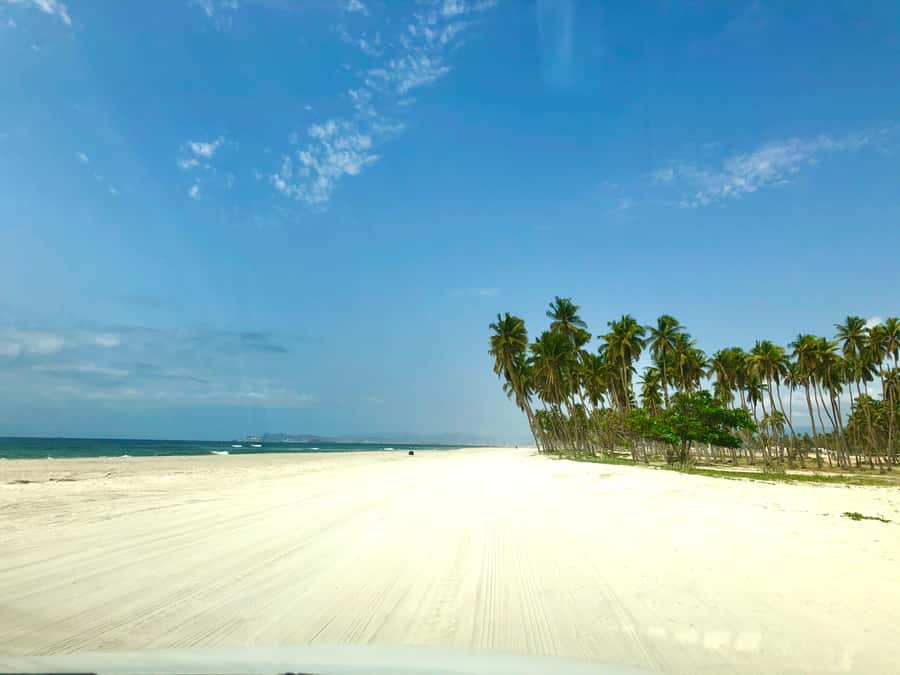 Salalah City Tour: Discover the Best of Oman’s Coastal Gem - Key highlights to look forward to