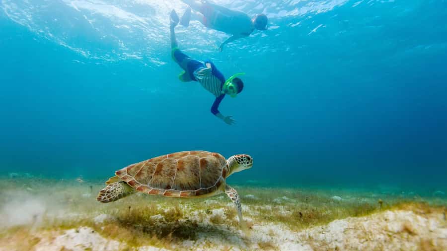 Salalah: Discover Mirbat's Snorkeling Paradise Guided Tour - Mirbat and Eagle Bay: why this Arabian Sea stretch matters