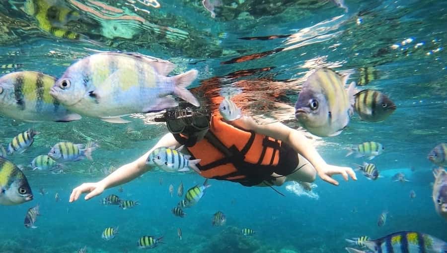 Salalah: Discover Mirbat's Snorkeling Paradise Guided Tour - From your hotel to the water: how the day flows