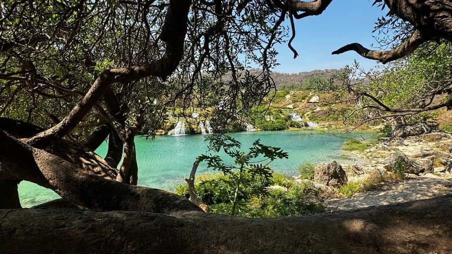 Salalah East Adventure: Waterfalls, Mountain & Safari - How the 6-hour schedule really works (and who it fits best)