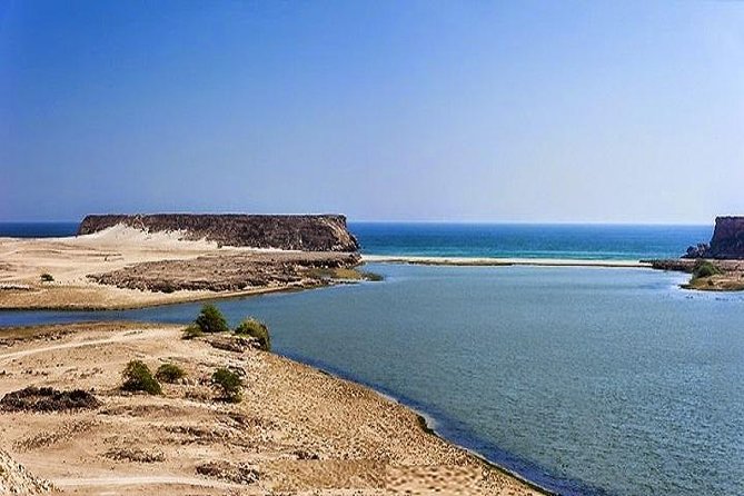 Salalah East & West Combination(Salalah tours):Oman Shore excursions - Ayn Razat spring and Qara Mountains cattle-and-camels views