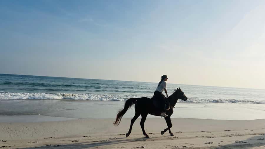Salalah: Horse Riding by the Beach - Key things to know before you ride on Salalah’s beach
