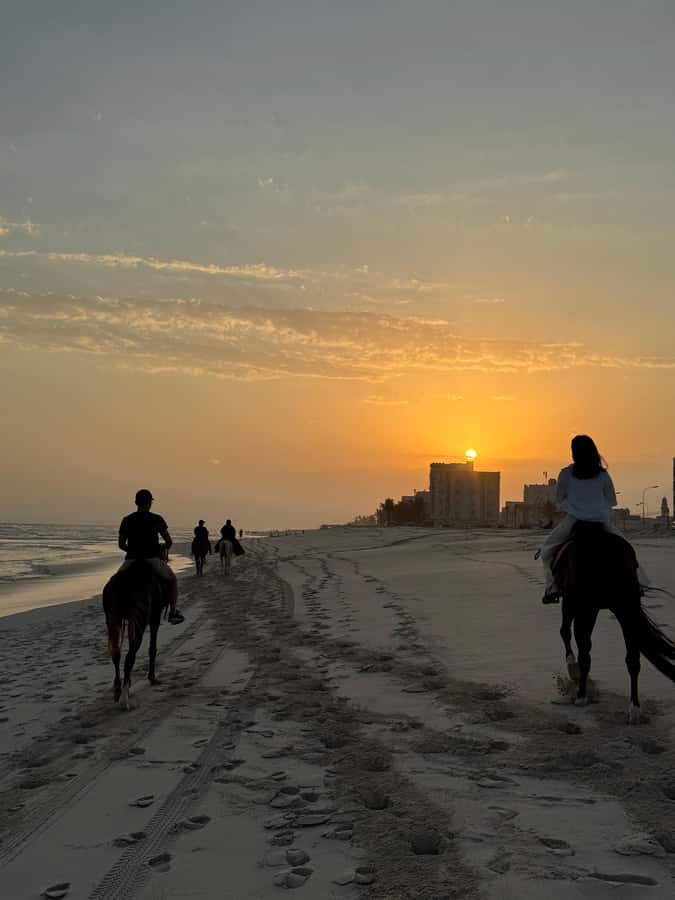 Salalah: Horse Riding by the Beach - Who this is best for, and who should skip it