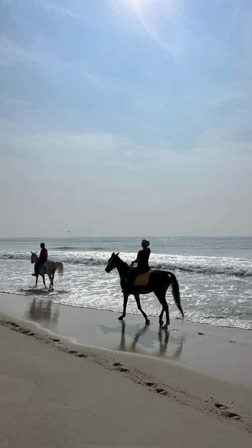 Salalah: Horse Riding by the Beach - A quick note from real-world experience: organization counts