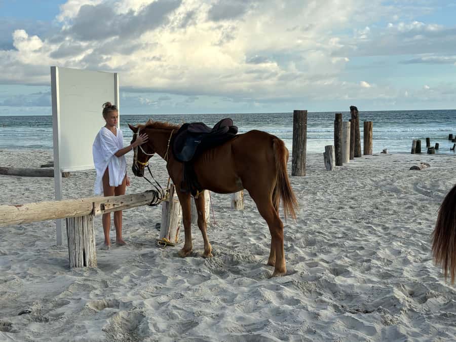 Salalah Horse Riding on the Beach optional Hotel Pick & Drop - Why Salalah Beach Horse Riding Works So Well at Sunset