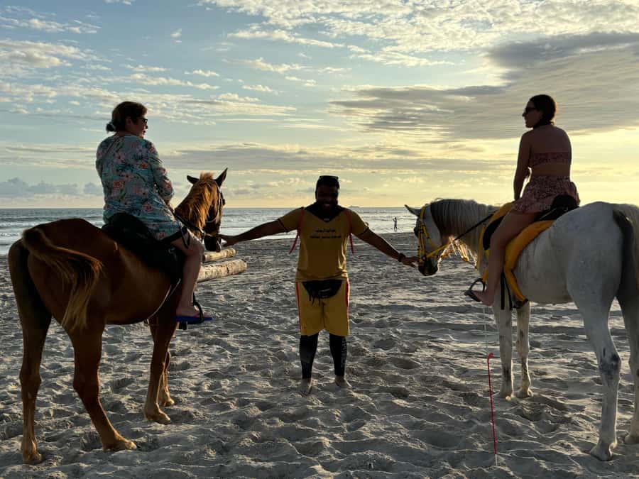 Salalah Horse Riding on the Beach optional Hotel Pick & Drop - Key Points You Should Know Before Booking