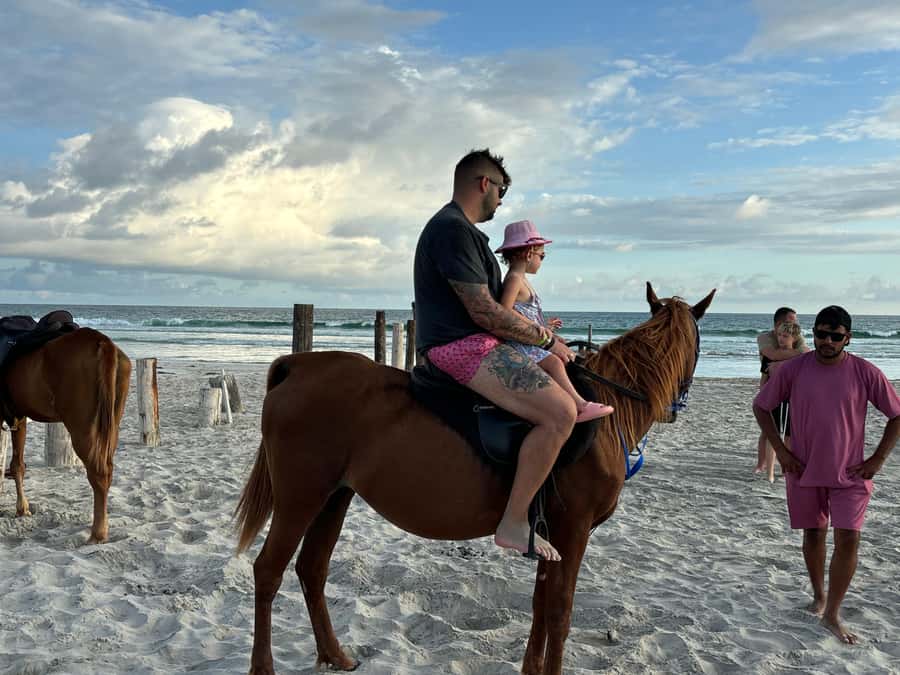 Salalah Horse Riding on the Beach optional Hotel Pick & Drop - Hotel Pick-Up in Salalah vs. Meeting at the Beach Club