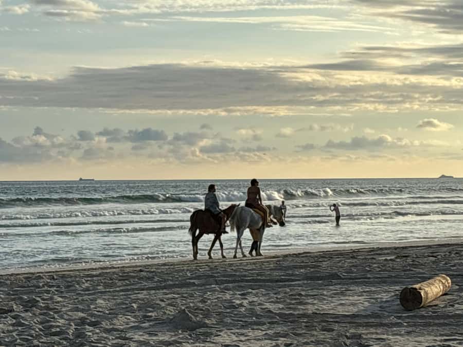 Salalah Horse Riding on the Beach optional Hotel Pick & Drop - The Ride Itself: What Happens From Mounting to Sunset Views
