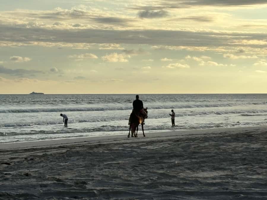 Salalah Horse Riding on the Beach optional Hotel Pick & Drop - Price and Value: Is $36 Worth It in Salalah?