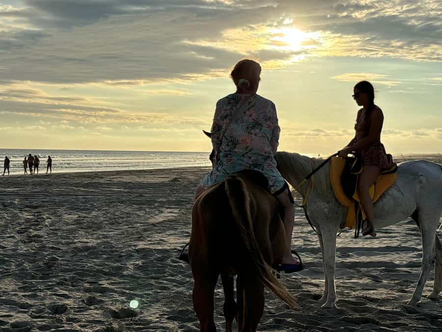 Salalah Horse Riding on the Beach optional Hotel Pick & Drop - How to Manage Expectations About Horse Pace and Comfort
