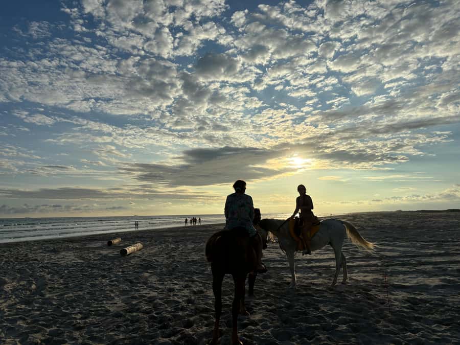 Salalah Horse Riding on the Beach optional Hotel Pick & Drop - Duration, Group Size, and the Overall Feel of the Experience