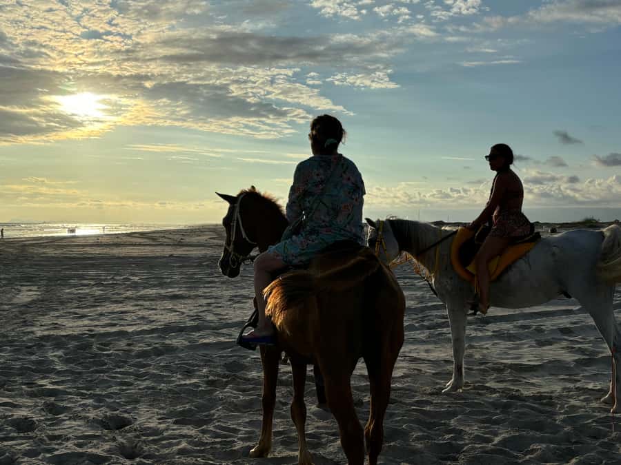 Salalah Horse Riding on the Beach optional Hotel Pick & Drop - Choosing 30 Minutes or 1 Hour, and How That Changes the Experience