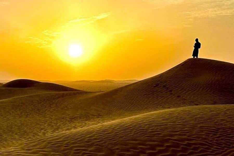 Salalah: Sunset desert safari tour in salalah(private tour) - Black camels encounter, a rare sight you’ll remember