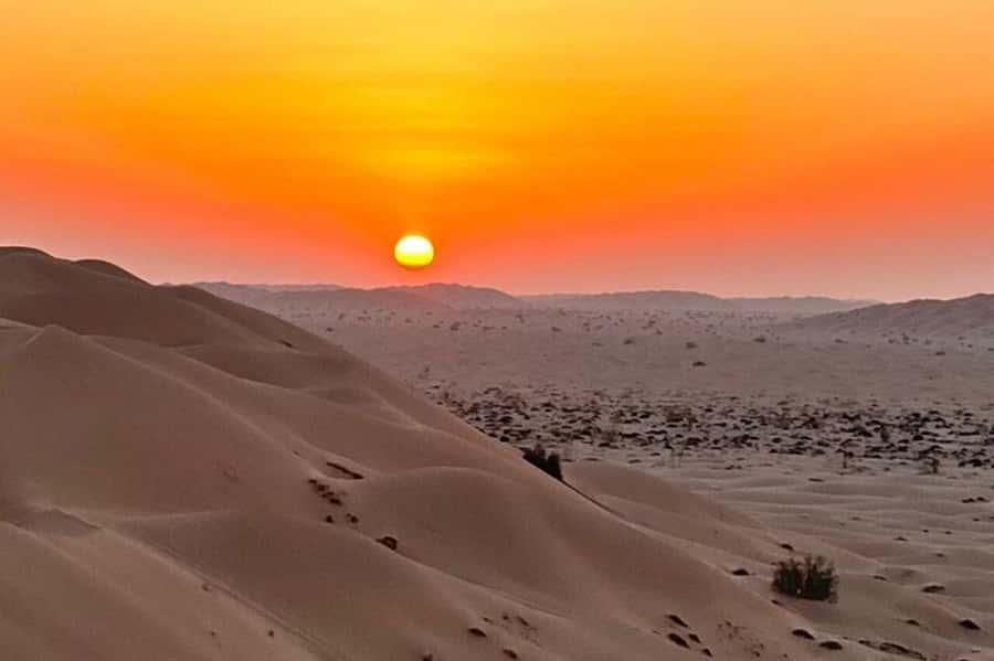 Salalah: Sunset desert safari tour in salalah(private tour) - Who should book this sunset safari, and who should skip it