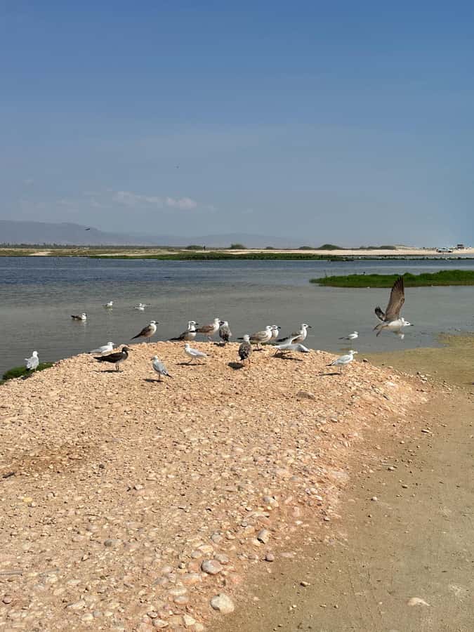 Salalah: Wadi Derbat, Jabal Samhan, & Sinkhole Private Tour - What to Bring for a Smooth Day Outdoors